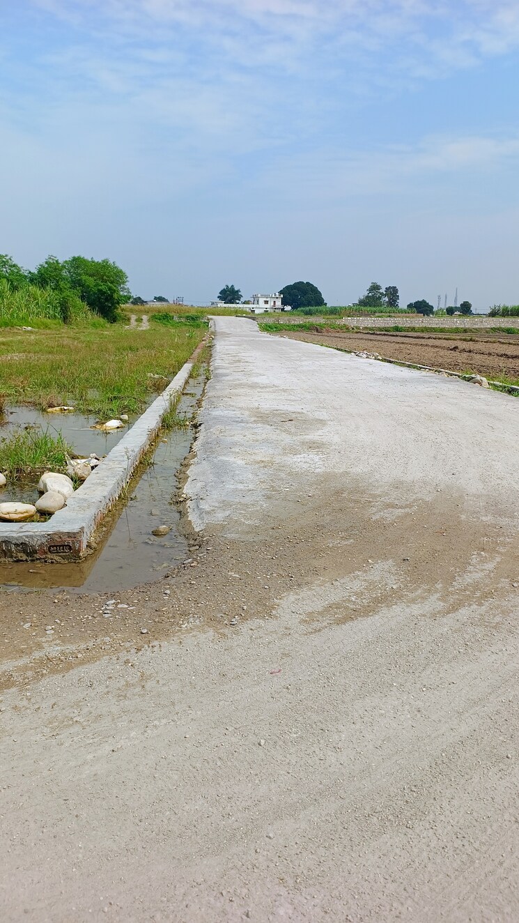 undefined, shimla bypass road  200 Sq.Yd. Plot In Shimla Bypass Road Dehradun 7993207