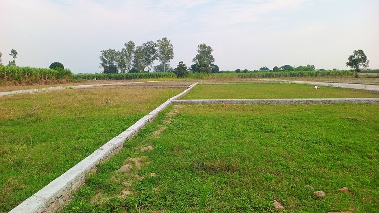 Garden, shimla bypass road  200 Sq.Yd. Plot In Shimla Bypass Road Dehradun 7993207