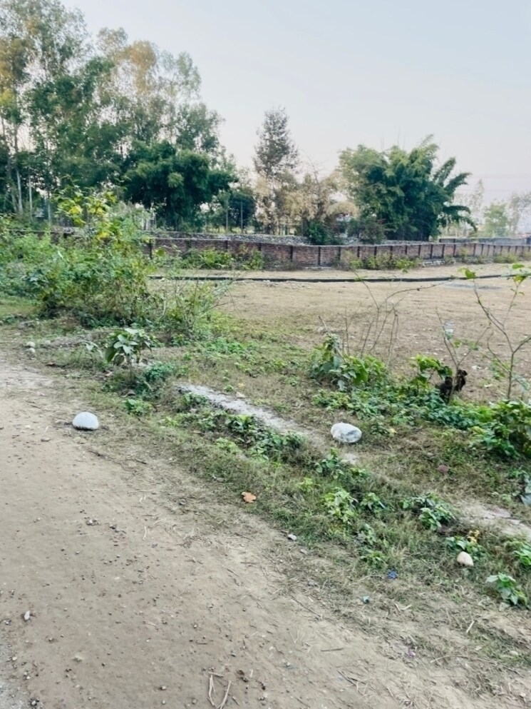 undefined, dehradun cantt  137 Sq.Yd. Plot In Dehradun Cantt Dehradun 7993491