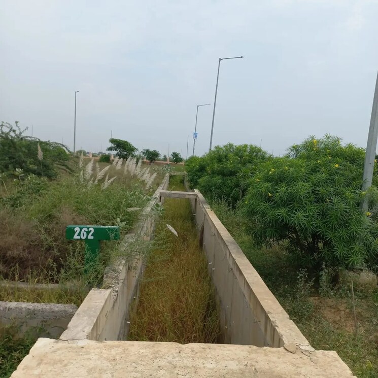 undefined, sector 23  150 Sq.Yd. Plot In Sector 23 Noida 7993505