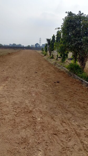 Plot For Resale in Kailash Nagar Bhilai  7993506