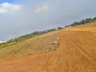 Plot For Resale in Kailash Nagar Bhilai  7993506