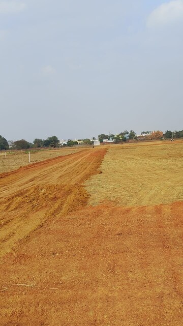 Plot Area in  Plot at Kailash Nagar – for Sale