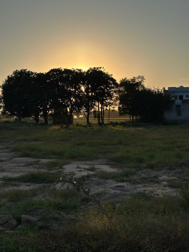 undefined, kharar mohali road  118 Sq.Yd. Plot In Kharar Mohali Road Kharar 7993825