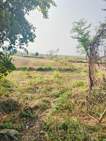 Plot Area in  Plot at Pisarve – for Sale