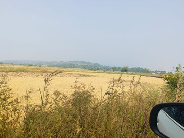 Plot Area in  Plot at Pisarve – for Sale