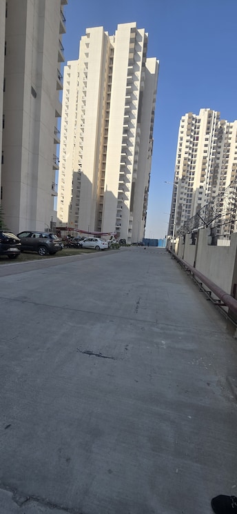 2 BHK Apartment For Rent in Amrapali Riverview Amrapali Leisure Valley Greater Noida  7994167