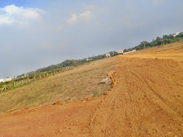 Plot Area in  Plot at Kailash Nagar – for Sale