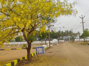 Plot For Resale in Kalathur Kanchipuram  7994568