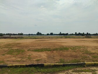 Plot For Resale in Kalathur Kanchipuram  7994568