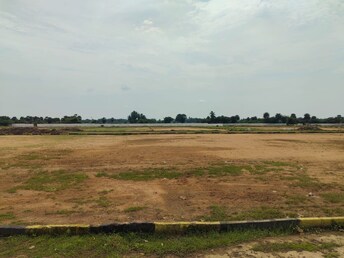 Plot For Resale in Kalathur Kanchipuram  7994568