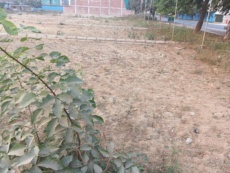 Master Bedroom, bptp-parkland-pride 3 Bedroom 190 Sq.Yd. Builder Floor In Sector 77 Faridabad 7994662