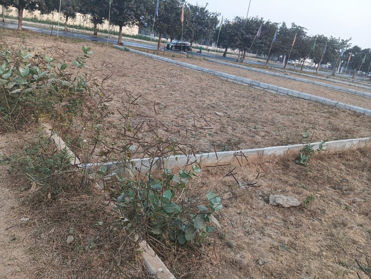 Master Bedroom, bptp-parkland-pride 3 Bedroom 190 Sq.Yd. Builder Floor In Sector 77 Faridabad 7994662