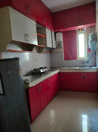 2 BHK Apartment For Rent in Pyramid Urban Homes 2 Sector 86 Gurgaon  7994695