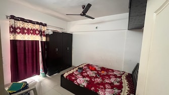 1 BHK Apartment For Rent in Kolte Ivy Estate Wagholi Pune  7994778