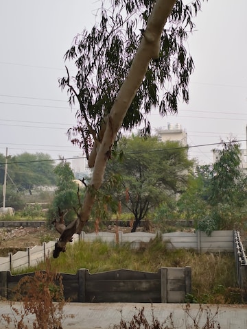 Commercial Land 200 Sq.Yd. For Rent in Bundi Road Kota  7991456