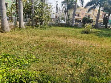 Plot For Resale in Bawadia Kalan Bhopal  7994988