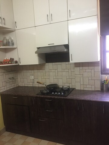 3 BHK Builder Floor For Rent in SS The Lilac, Sector 49