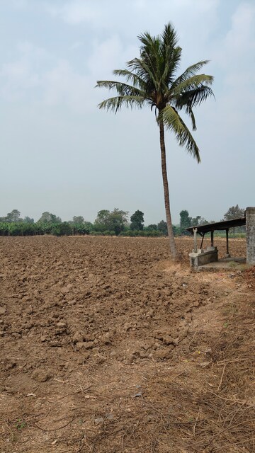 Plot Area in  Land at Sultanabad – for Sale