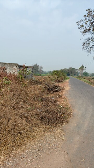 Plot Area in  Land at Sultanabad – for Sale