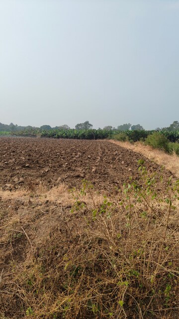 Plot Area in  Land at Sultanabad – for Sale