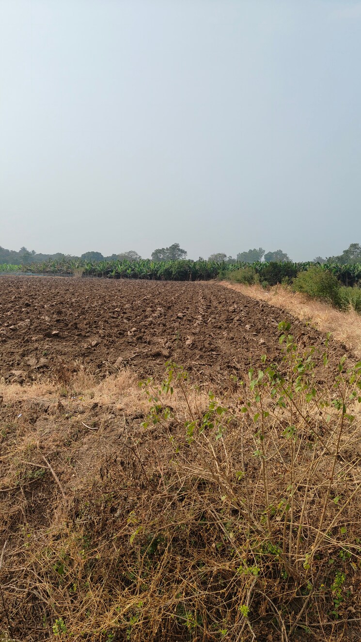 undefined, sultanabad Commercial Land 3 Acre In Sultanabad Surat 7995242