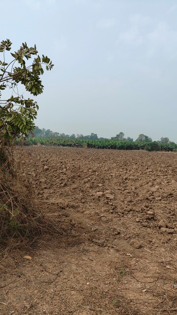 Plot Area in  Land at Sultanabad – for Sale