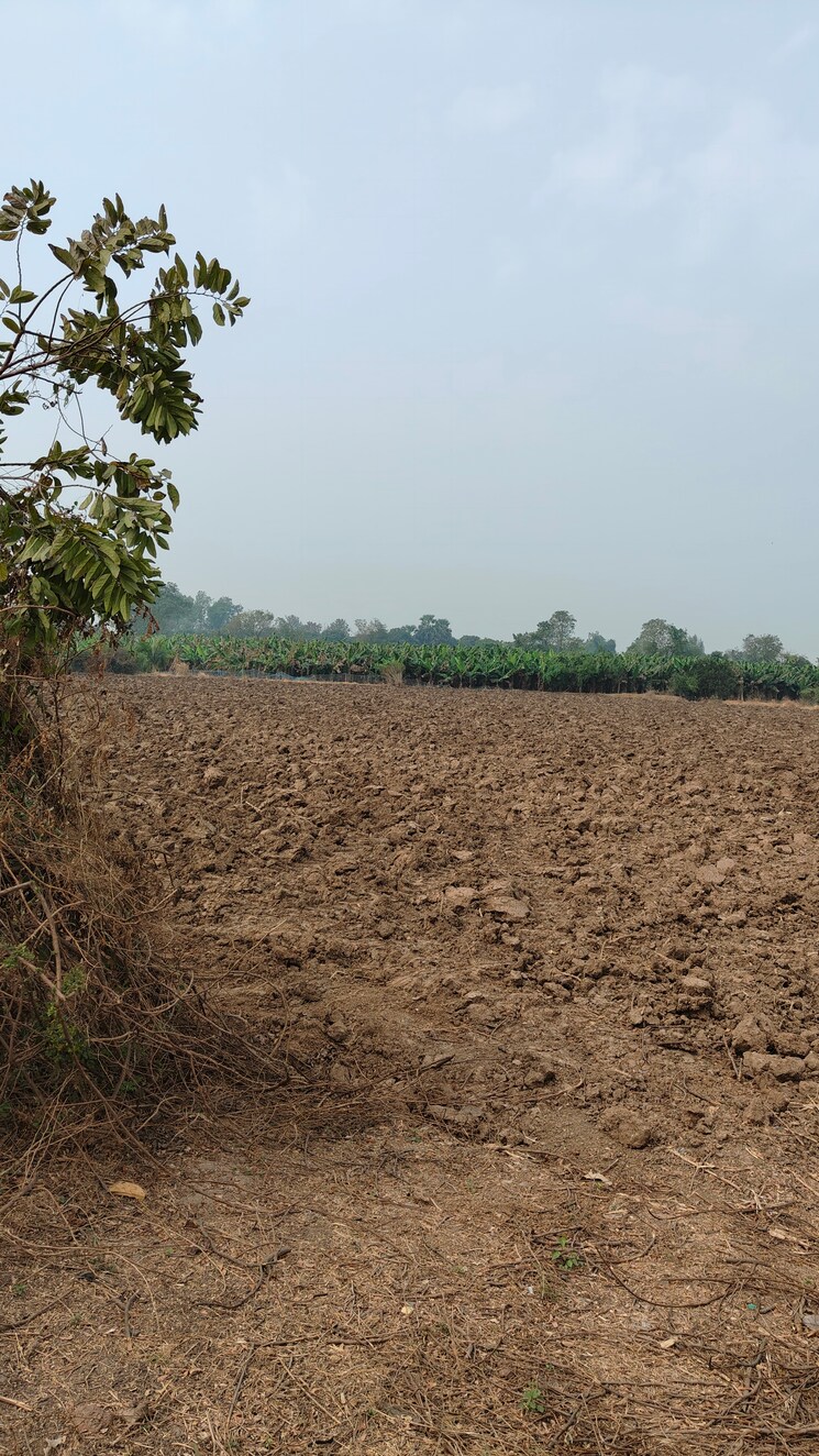 undefined, sultanabad Commercial Land 3 Acre In Sultanabad Surat 7995242