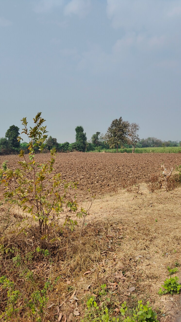 undefined, sultanabad Commercial Land 3 Acre In Sultanabad Surat 7995242