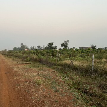 Plot Area in  Land at Bhatagaon – for Sale