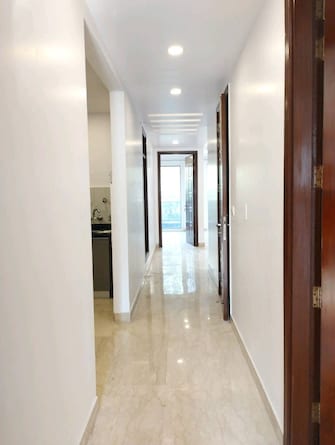 3 BHK Builder Floor For Rent in Green Park Delhi  7995917