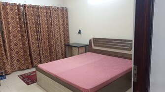 3.5 BHK Apartment For Rent in LDA Dhenumati Apartment Butler Colony Lucknow  7995926