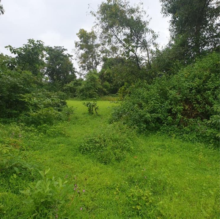 Exterior View, murbad road Commercial Land 22000 Sq.Ft. In Murbad Road Thane 7996022