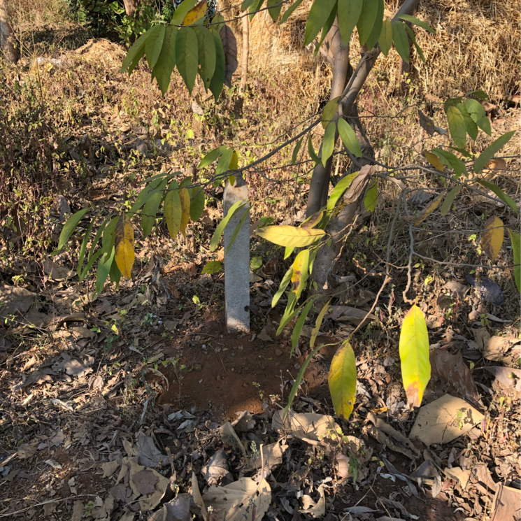 Exterior View, murbad road Commercial Land 22000 Sq.Ft. In Murbad Road Thane 7996022