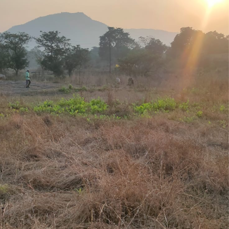 Exterior View, murbad road Commercial Land 22000 Sq.Ft. In Murbad Road Thane 7996022