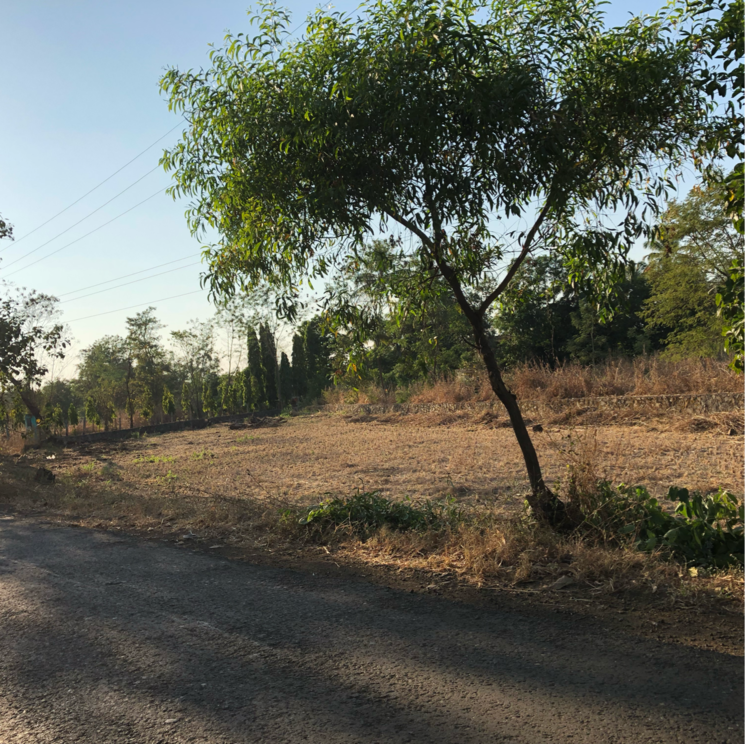 Exterior View, murbad road Commercial Land 22000 Sq.Ft. In Murbad Road Thane 7996022