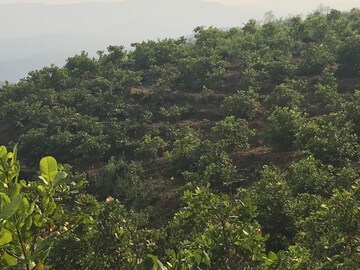 Plot – Garden View at Sawantwadi - for Sale