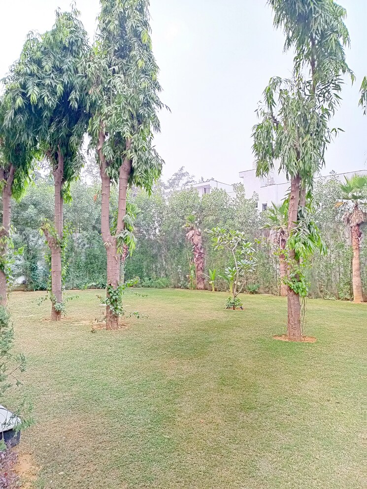 Garden, chattarpur 5 Bedroom 14400 Sq.Ft. Villa In Chattarpur Delhi 7996522