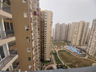 3 BHK Apartment For Resale in Nirala Estate II Noida Ext Tech Zone 4 Greater Noida  7996629