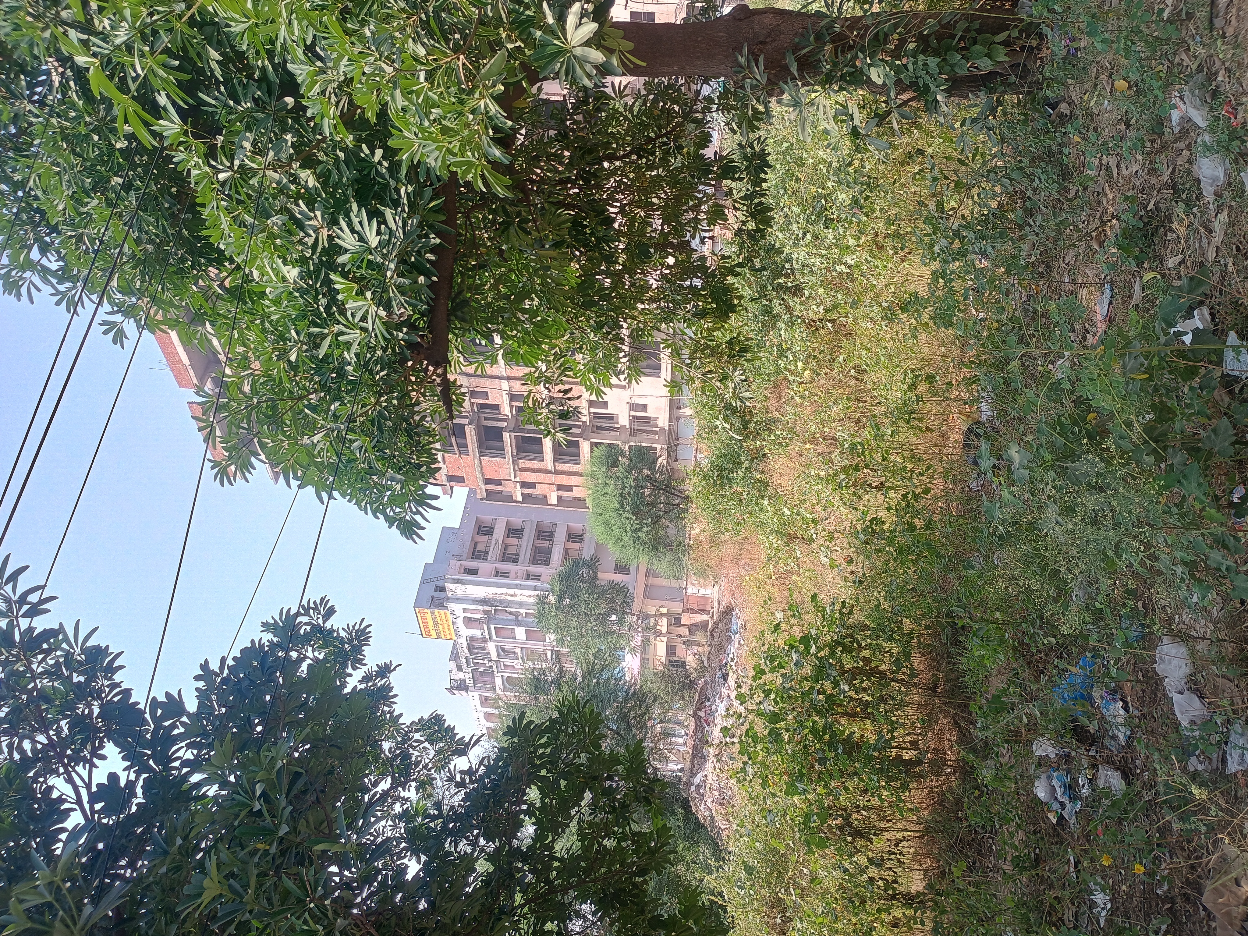 Plot For Sale in Gandhi Path West Chandra 