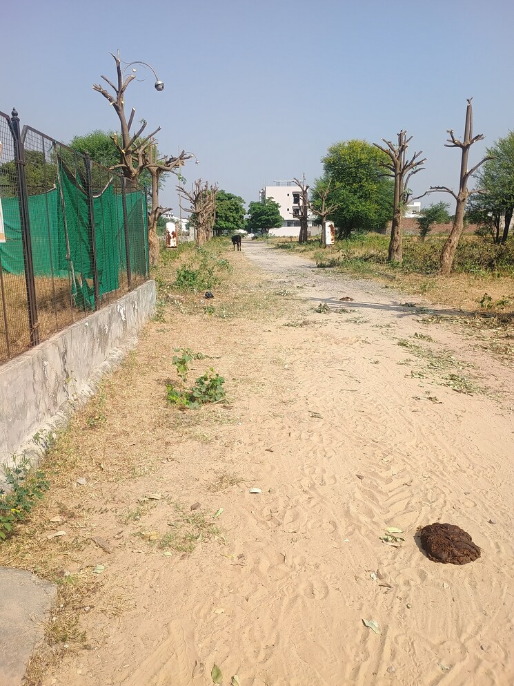 Garden, gandhi path  240 Sq.Yd. Plot In Gandhi Path Jaipur 7996687
