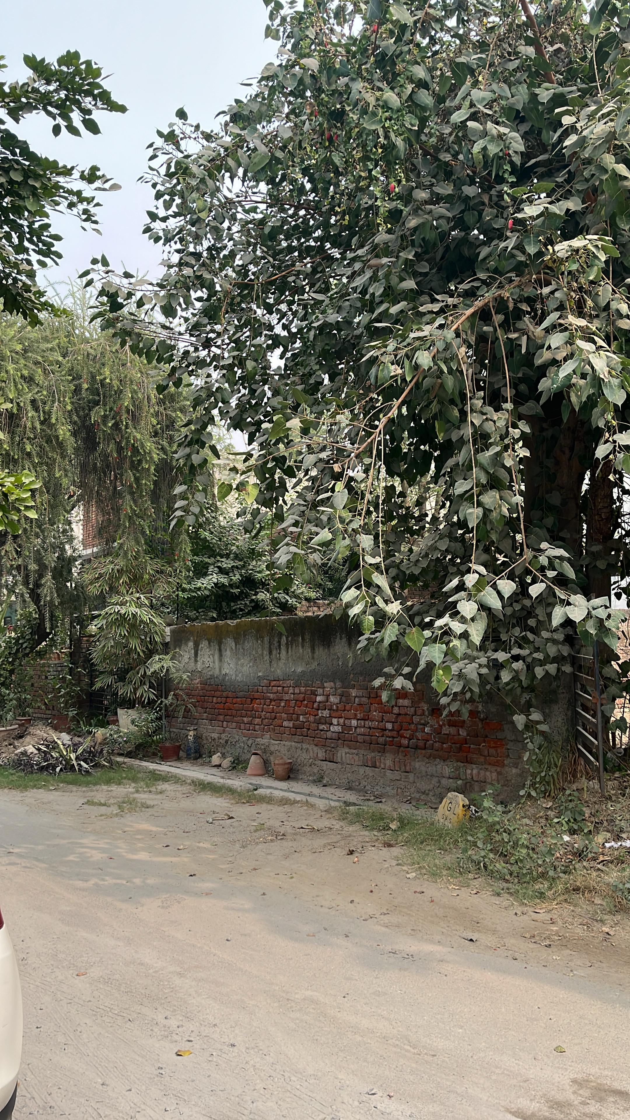 Plot For Sale in Sector 56