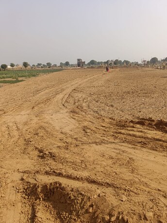 Plot For Resale in Kalwar Road Jaipur  7996842