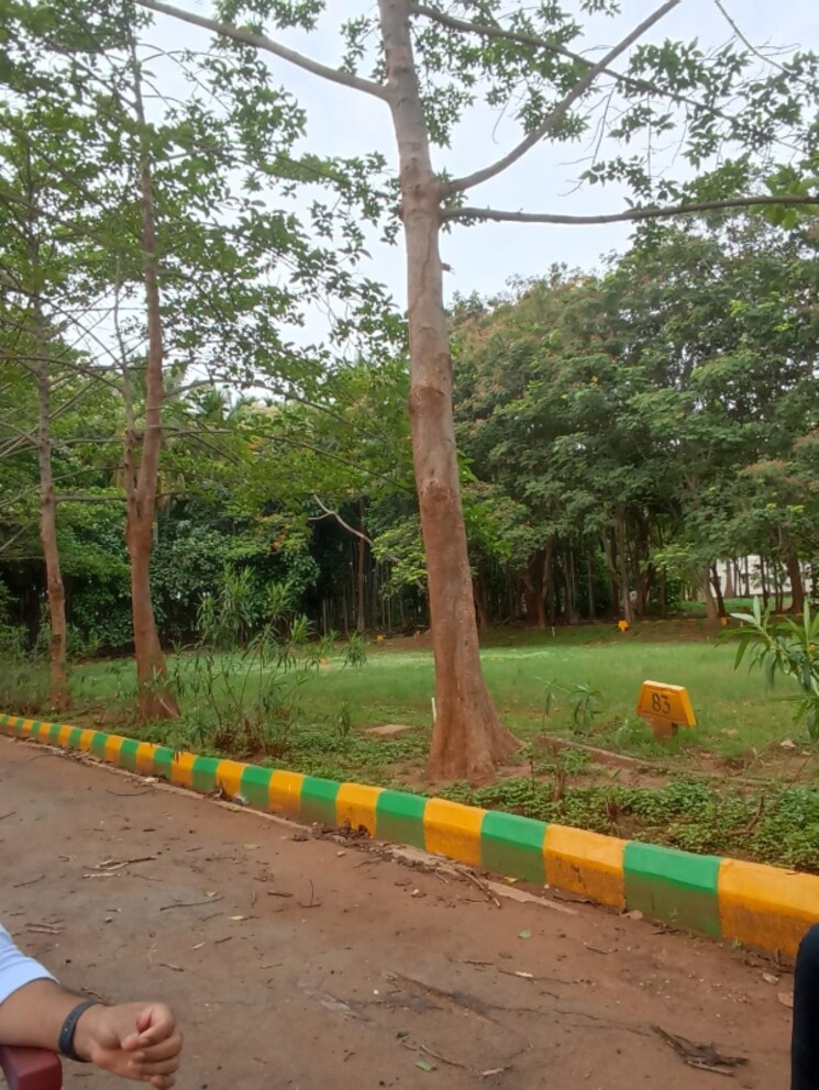 Garden, aashrithaa-brindavana  1500 Sq.Ft. Plot In Kanakapura Road Bangalore 7997081