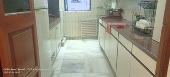 1 BHK Apartment For Rent in Pradeep Apartment Worli Worli Mumbai  7997214