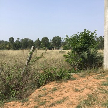  Plot For Sale in Nelamangala