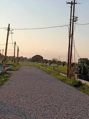 Plot Area in  Plot at Kisan Path – for Sale