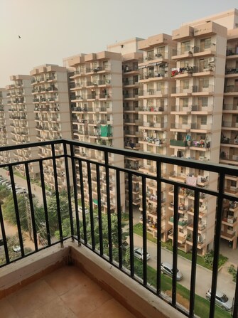 2 BHK Apartment For Rent in Pareena Laxmi Apartments Sector 103 Gurgaon  7997417