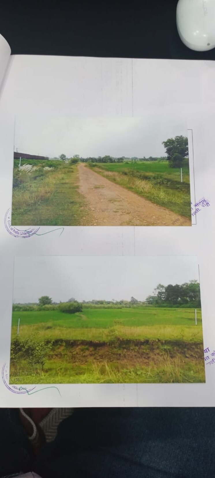 Garden, jewar  142 Sq.Yd. Plot In Jewar Greater Noida 7997598