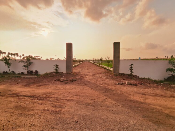 undefined, tadigadapa  100 Sq.Yd. Plot In Tadigadapa Vijayawada 7997679